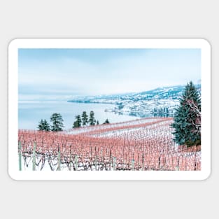 Winter in the Vineyards Sticker